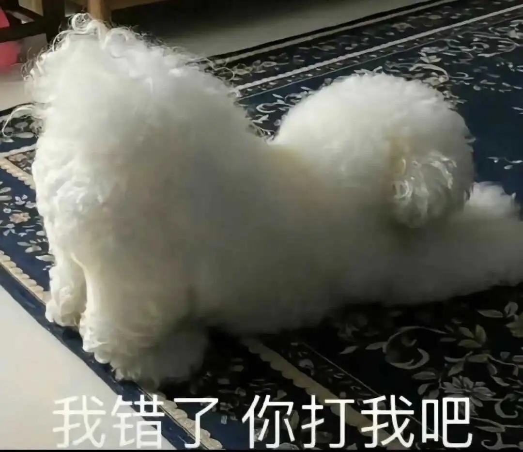 西檬之家-ddlg是什么? 一
