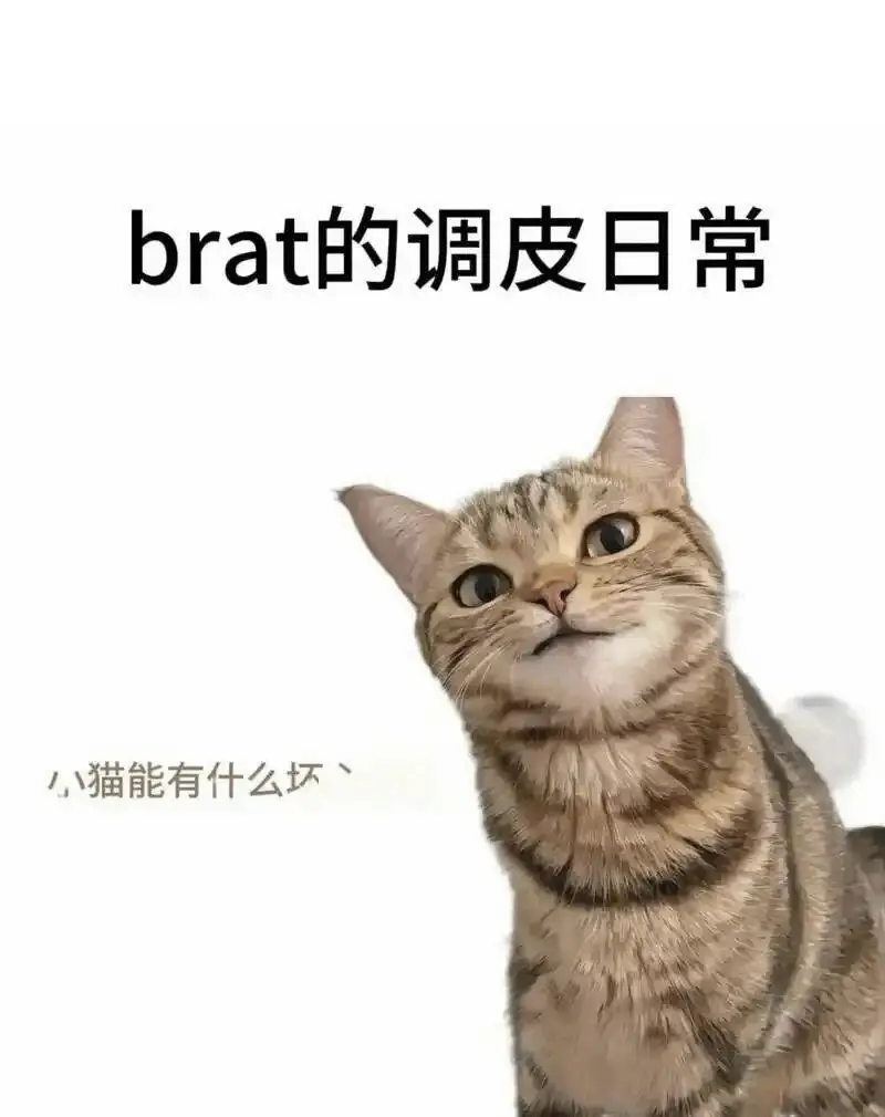 西檬之家字母圈入圈新手指南 一