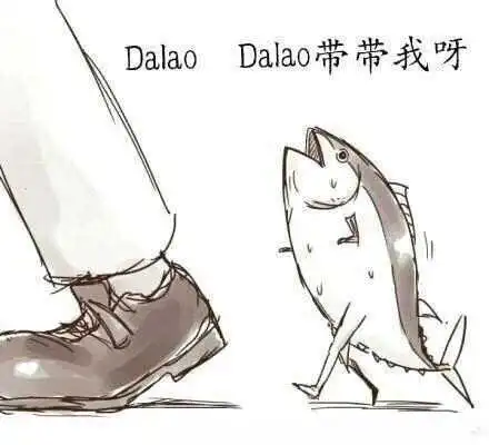 西檬之家字母圈K8猫系是什么意思? 一