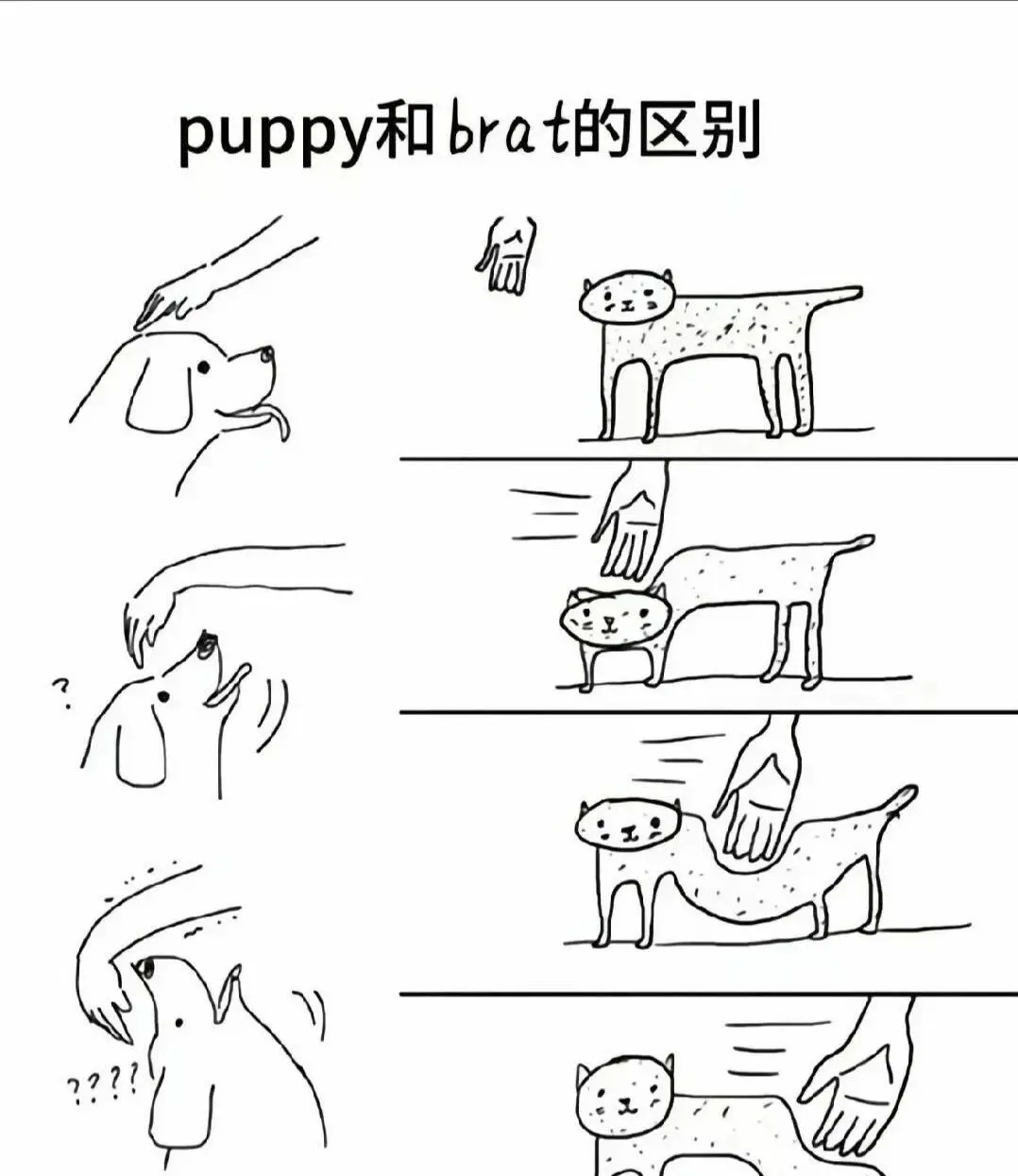 西檬之家TK是什么?字母圈挠痒痒玩法指南 一