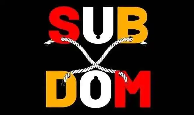 西檬之家Dom是什么意思? 一