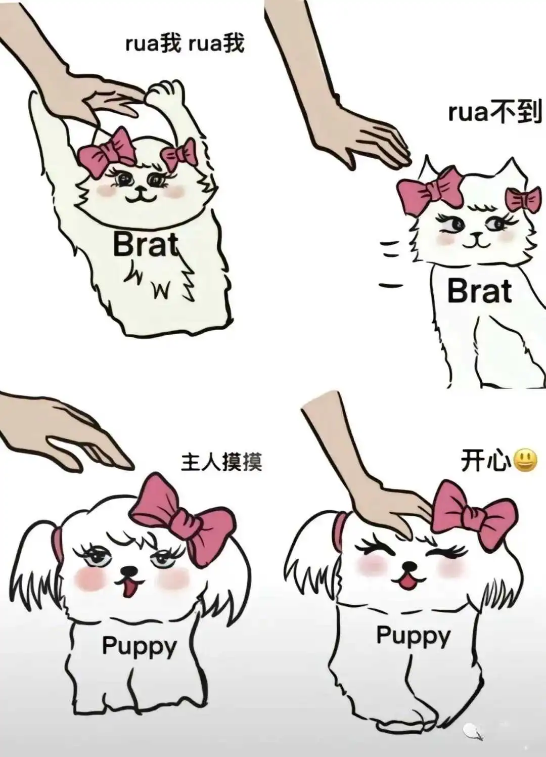 西檬之家TK是什么意思?字母圈新人科普 一