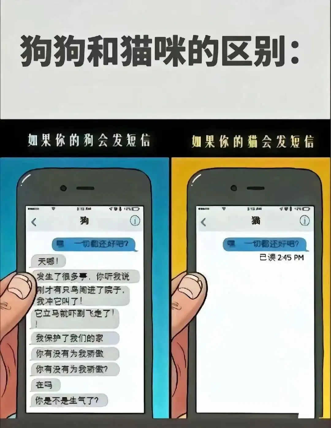 西檬之家sm亚文化是什么?字母圈新人入圈 一