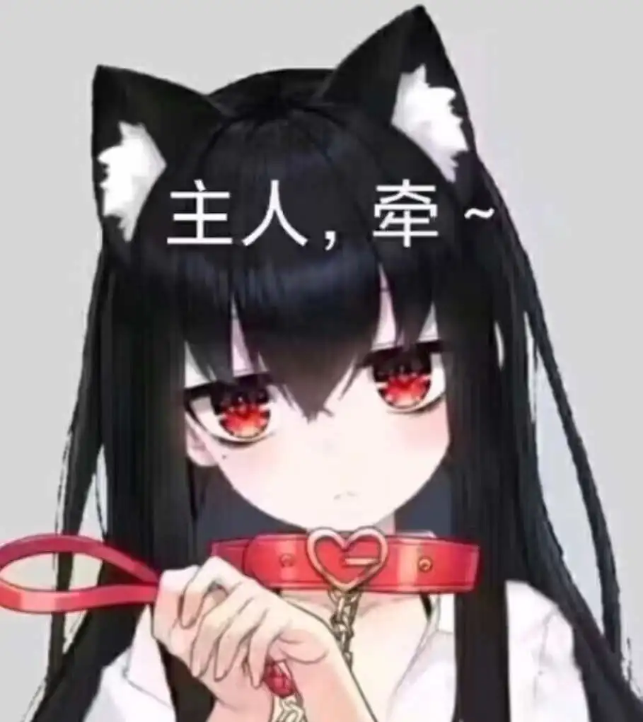 西檬之家字母圈K9是什么? 一