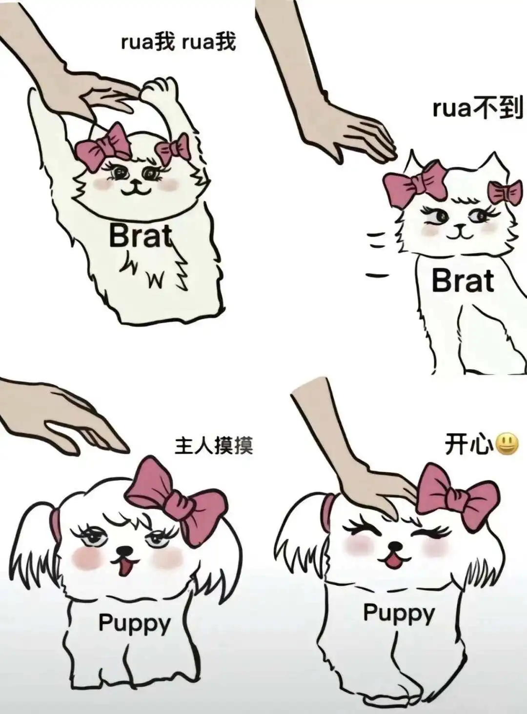 西檬之家你是s属性还是m属性?字母圈新人如何认清自我 一