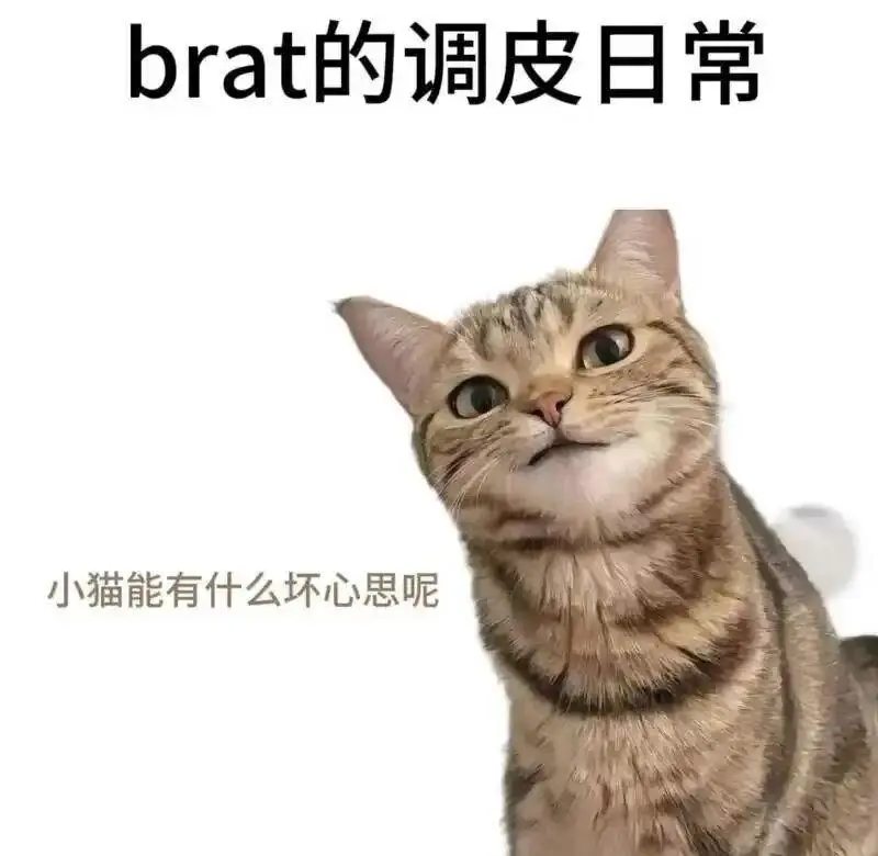 西檬之家字母圈里的SP是什么? 一