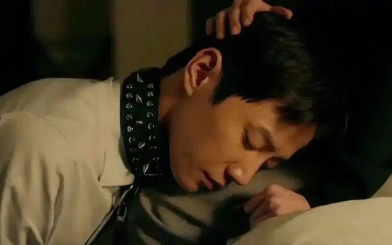 西檬之家BDSM是什么?新人入门核心术语指南 一