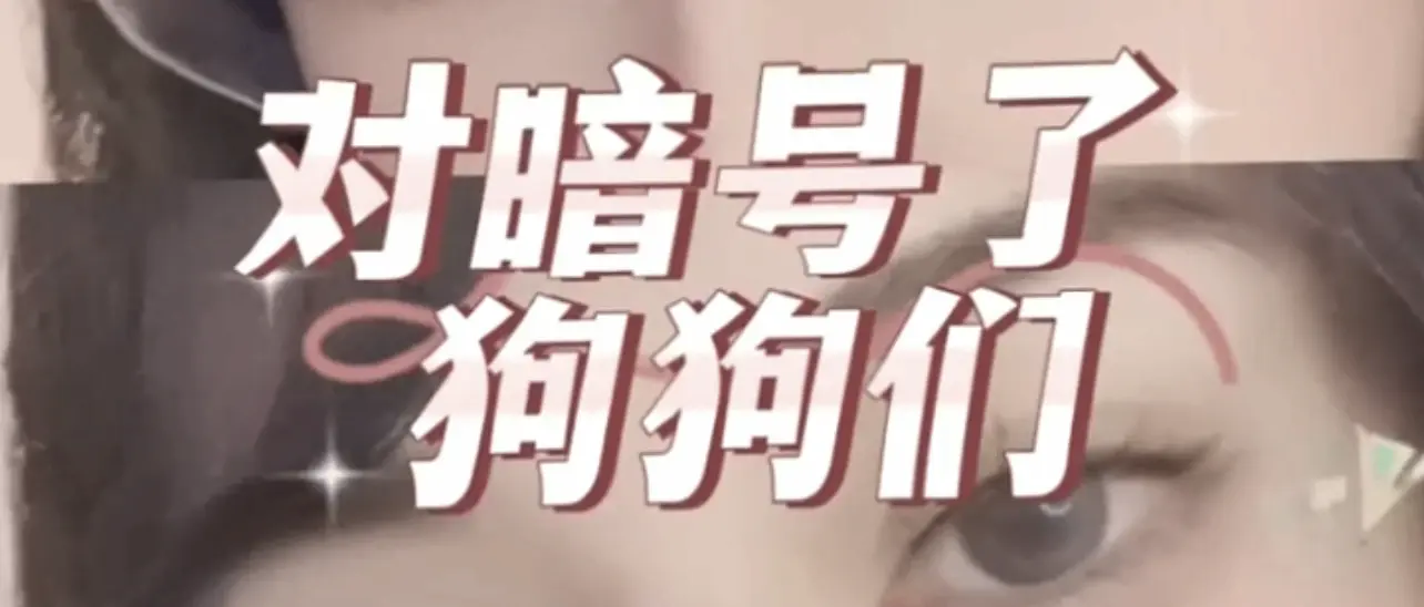 西檬之家k8是什么? 一