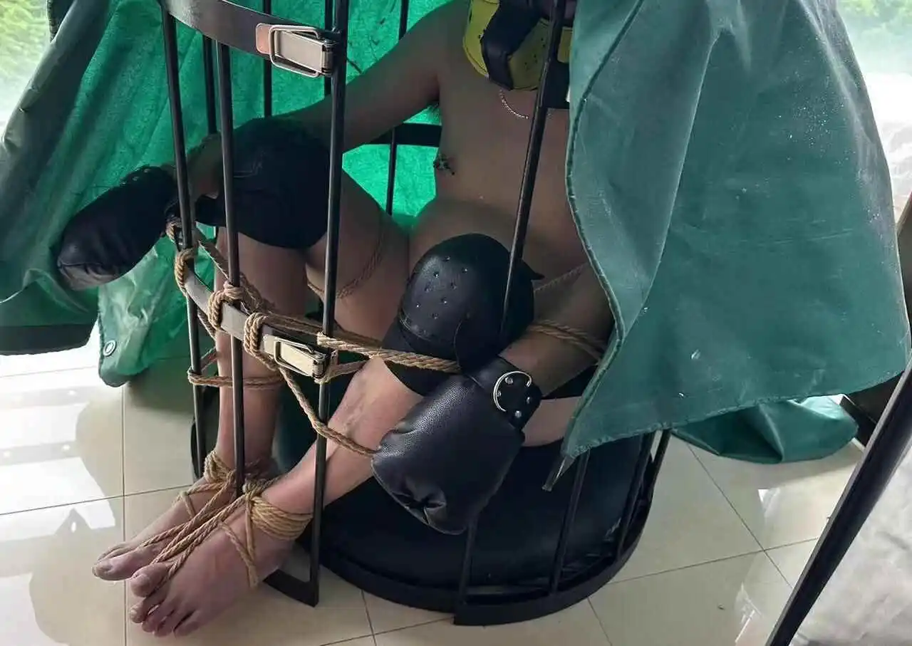 西檬之家k8是什么?揭秘字母圈猫奴属性 一